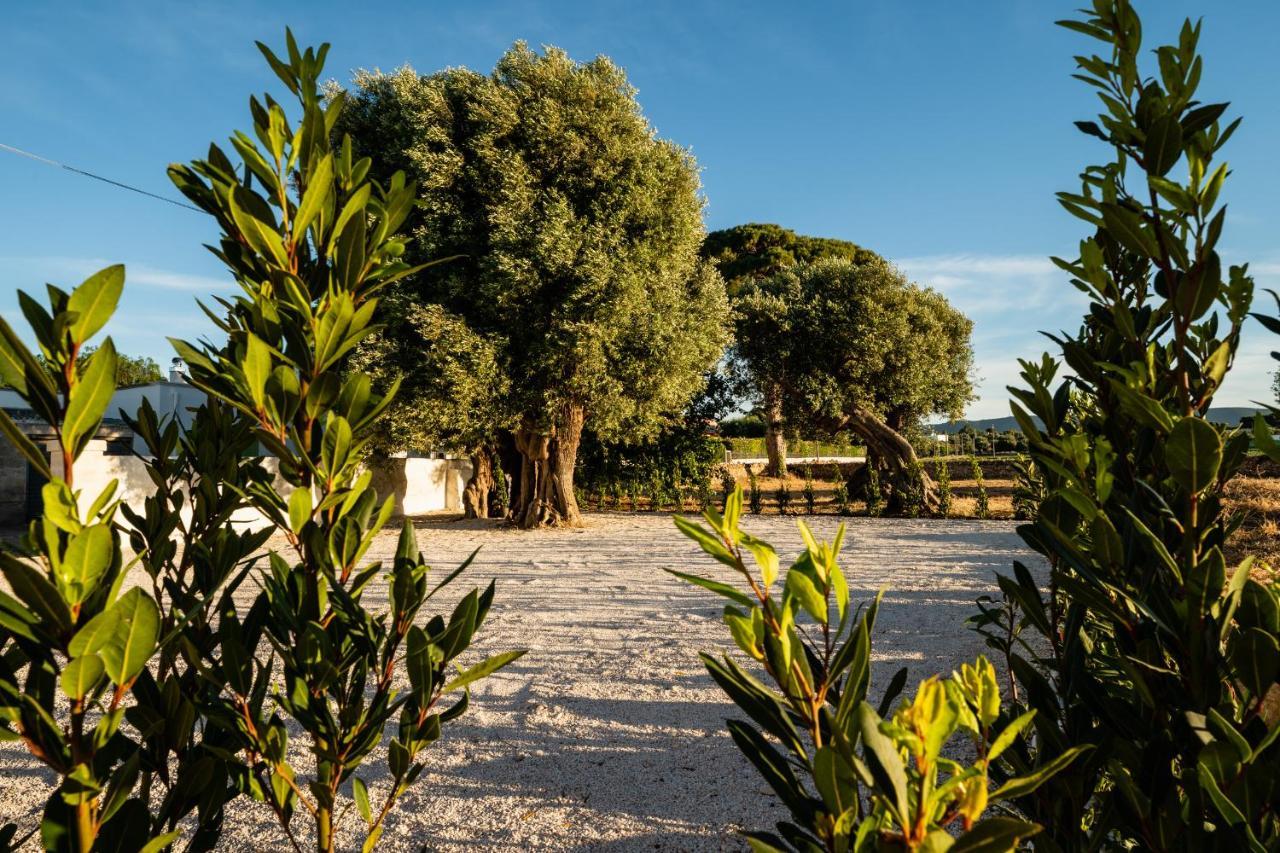 Il Pergolato Sul Mare Villa Monopoli Luaran gambar
